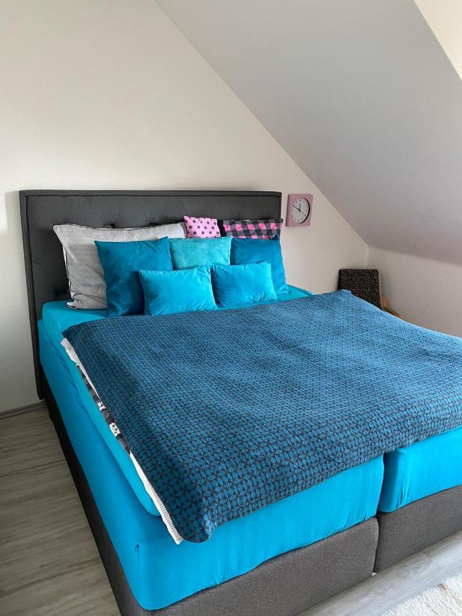 Deluxe Apartman Lisci Kopec Vrchlabí エクステリア 写真